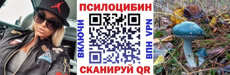 Купить  Михайловск  Псилоцибиновые грибы Cubensis 